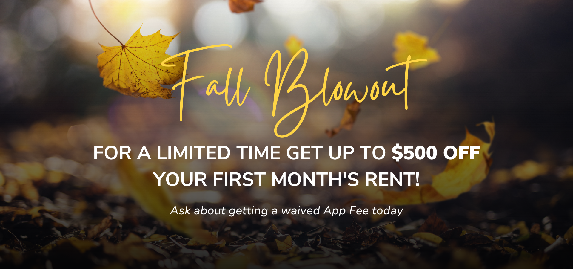 $300 OFF
 your first month's rent!